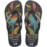 IPE