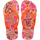 BLOSSOM