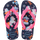 AZULROSA