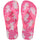 ROSA 5784