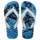 AZUL 0212