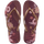 TERRA VINO