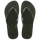 VERDE OLIV