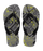 ACEROGRIS