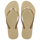 DORADO